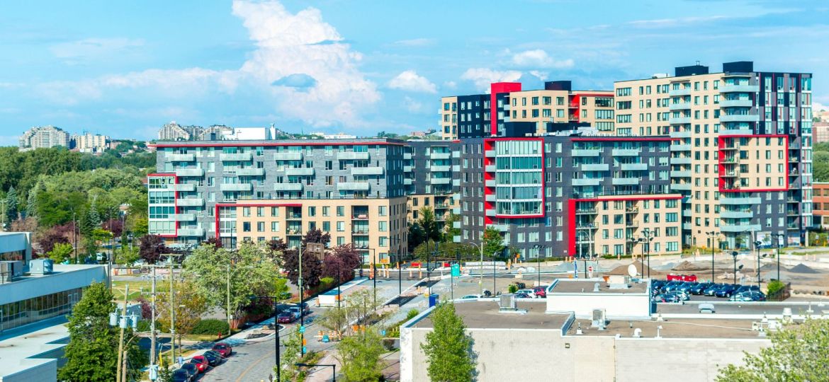 groupe sayed nouvelles et conseils