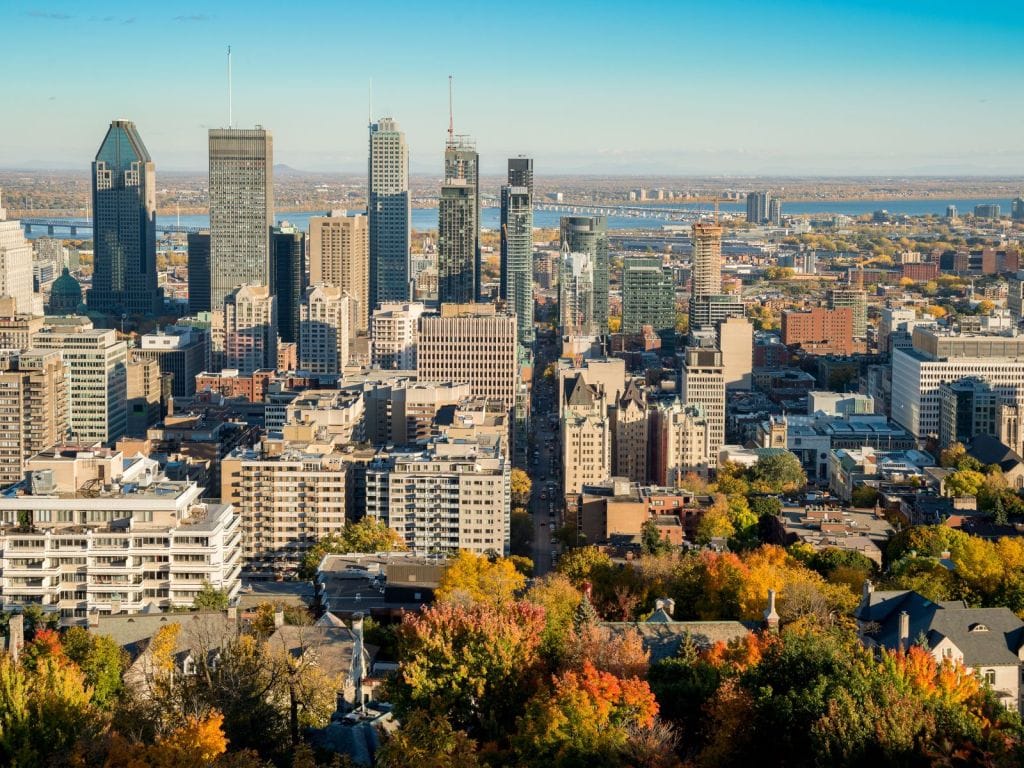 groupe sayed tips groupesayed.com