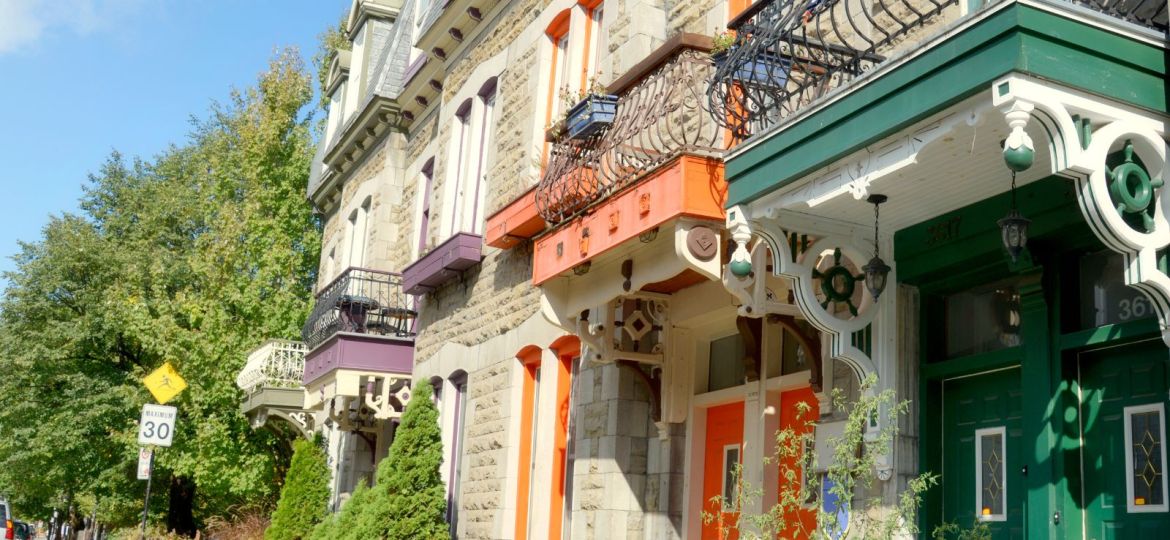 groupe sayed nouvelles et conseils