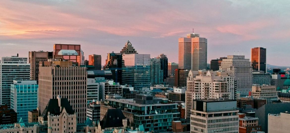 groupe sayed nouvelles et conseils