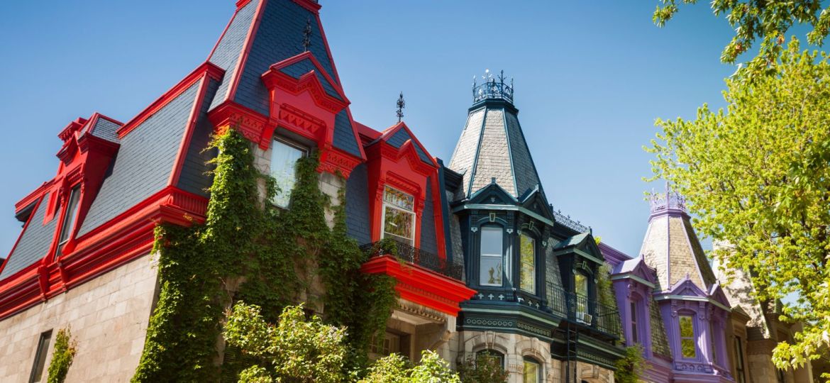 groupe sayed nouvelles et conseils