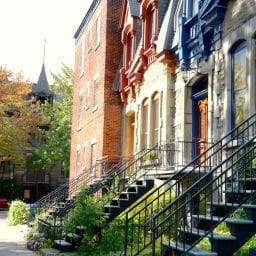 groupe sayed nouvelles et conseils