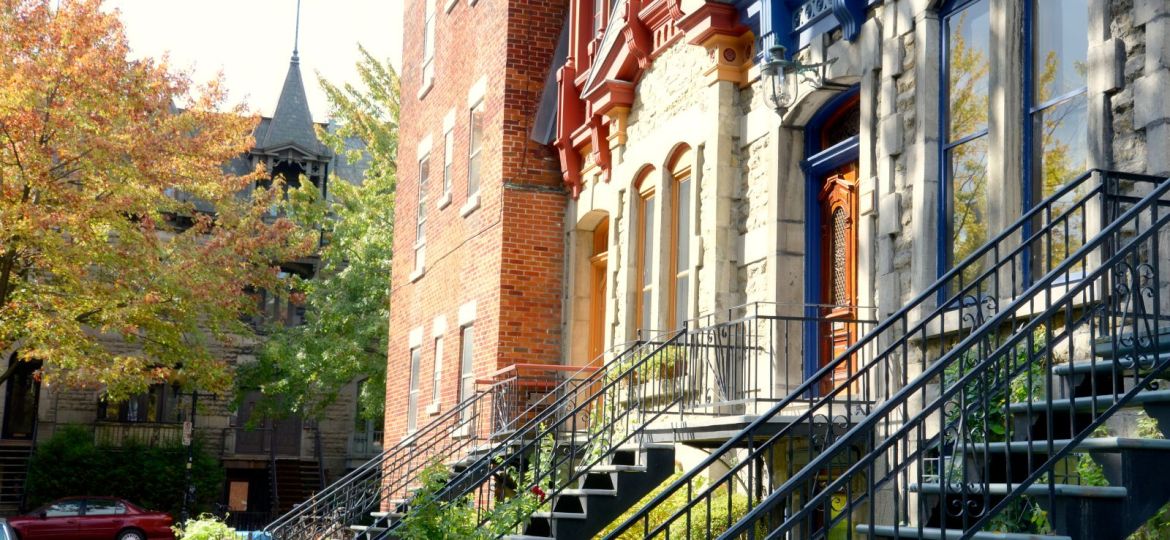 groupe sayed nouvelles et conseils