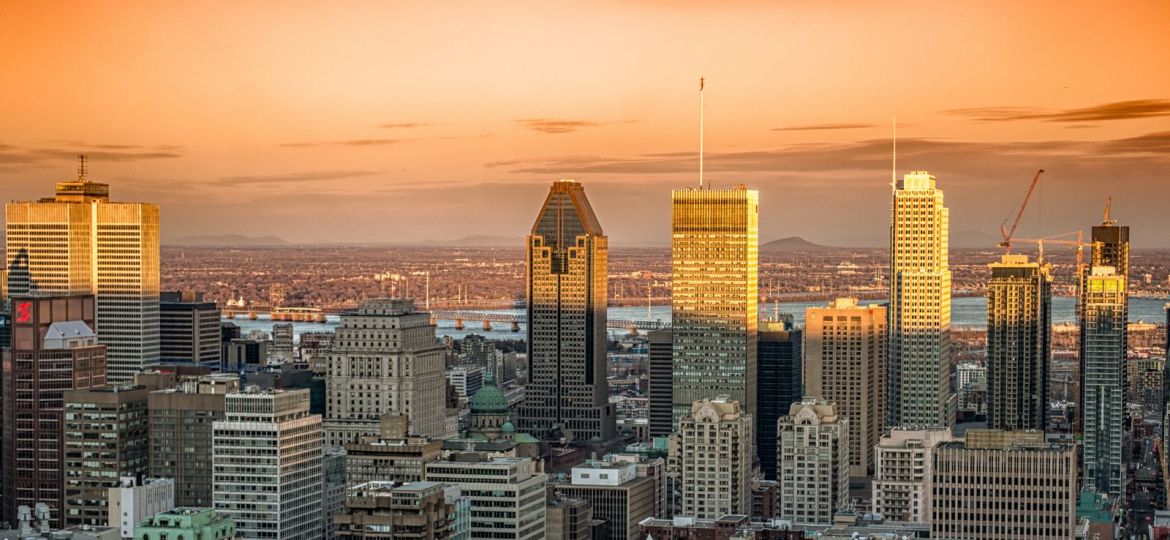 groupe sayed nouvelles et conseils