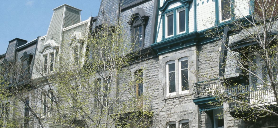 groupe sayed nouvelles et conseils