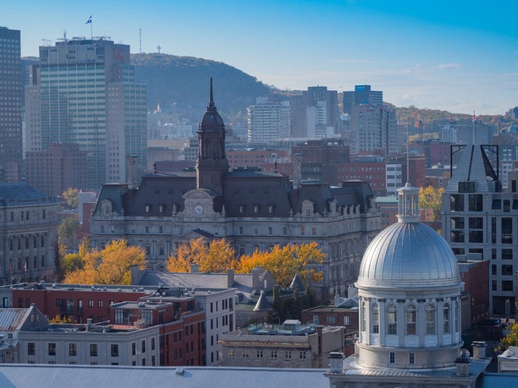 groupe sayed nouvelles et conseils