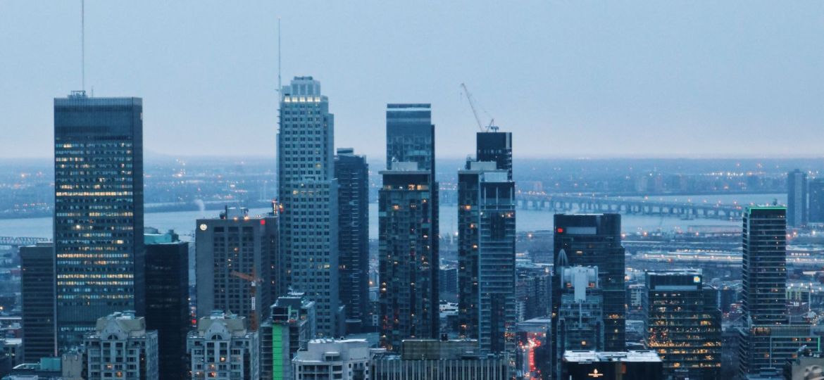 groupe sayed nouvelles et conseils