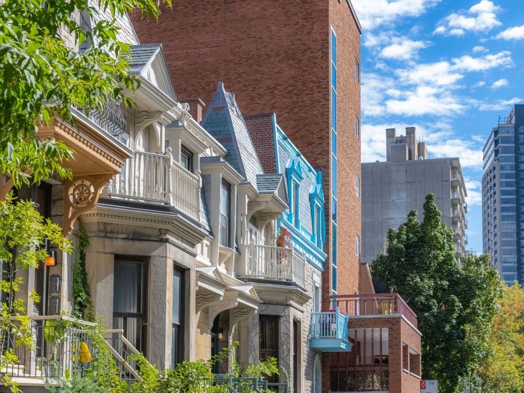 groupe sayed nouvelles et conseils