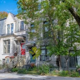 groupe sayed nouvelles et conseils