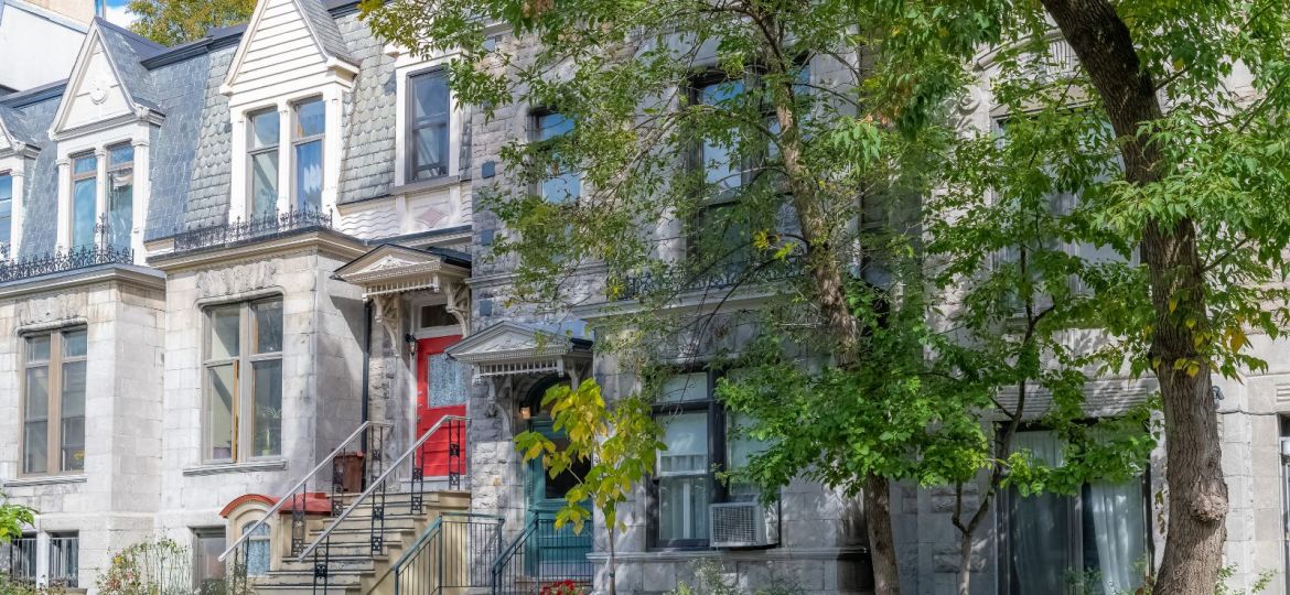 groupe sayed nouvelles et conseils