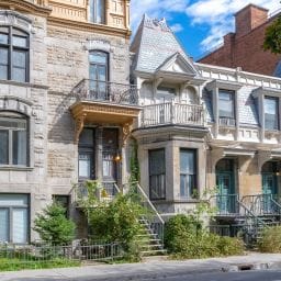 groupe sayed nouvelles et conseils