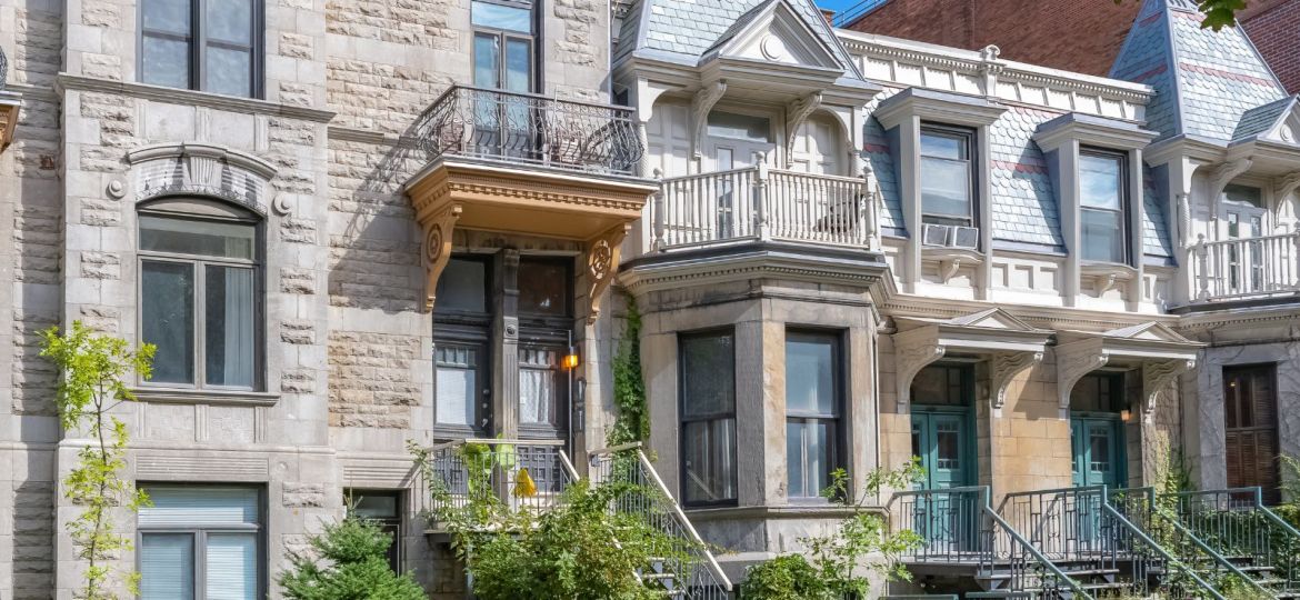 groupe sayed nouvelles et conseils