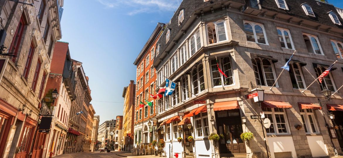 groupe sayed nouvelles et conseils