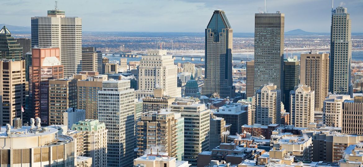 groupe sayed nouvelles et conseils