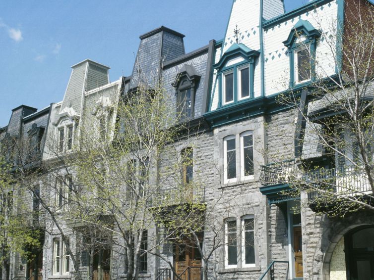 groupe sayed nouvelles et conseils