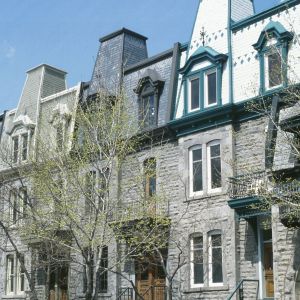 groupe sayed nouvelles et conseils