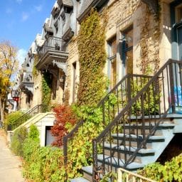 groupe sayed nouvelles et conseils