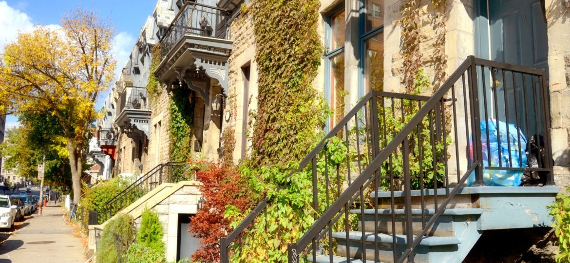 groupe sayed nouvelles et conseils