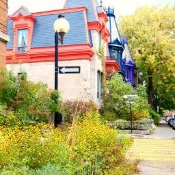 groupe sayed nouvelles et conseils