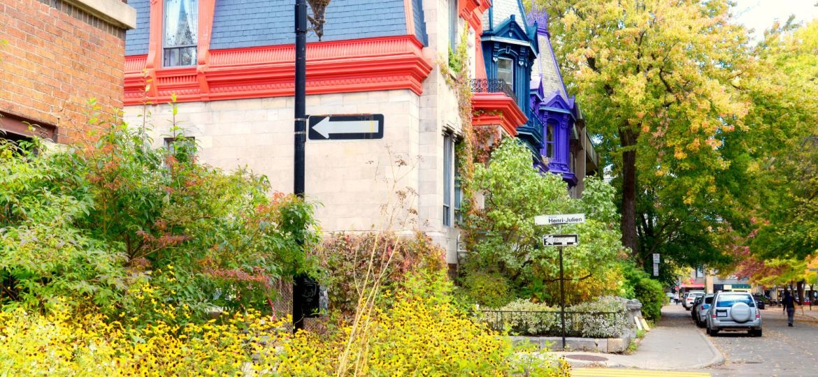 groupe sayed nouvelles et conseils