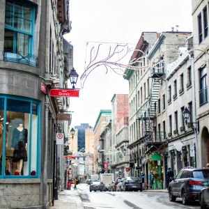 groupe sayed nouvelles et conseils