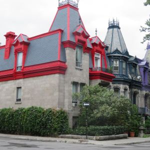 groupe sayed nouvelles et conseils